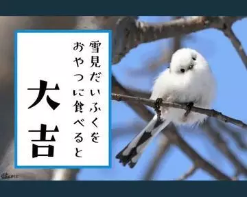 ひな