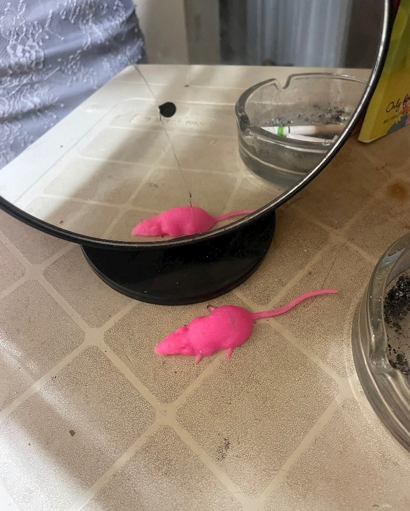 なな