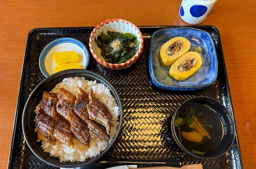 朝倉 しおり