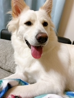 京 さゆみ