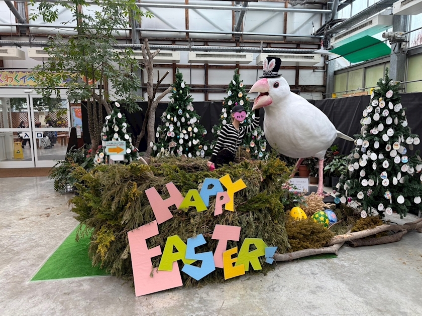 あいら