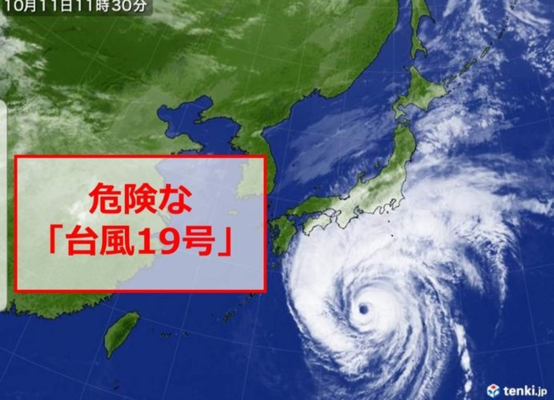 紫音