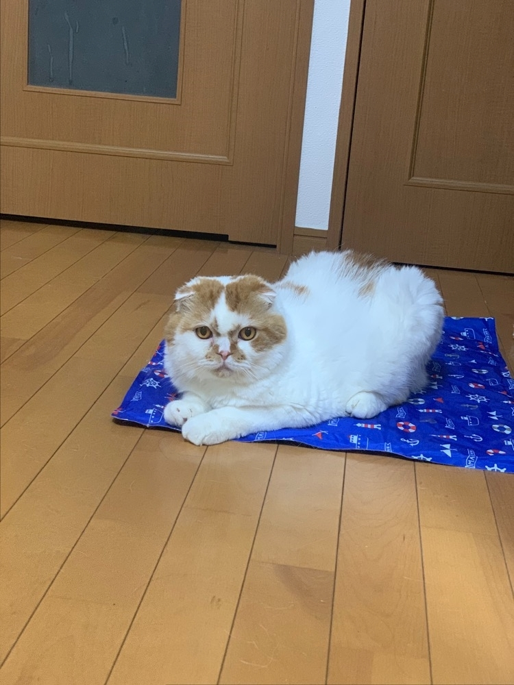 れみ