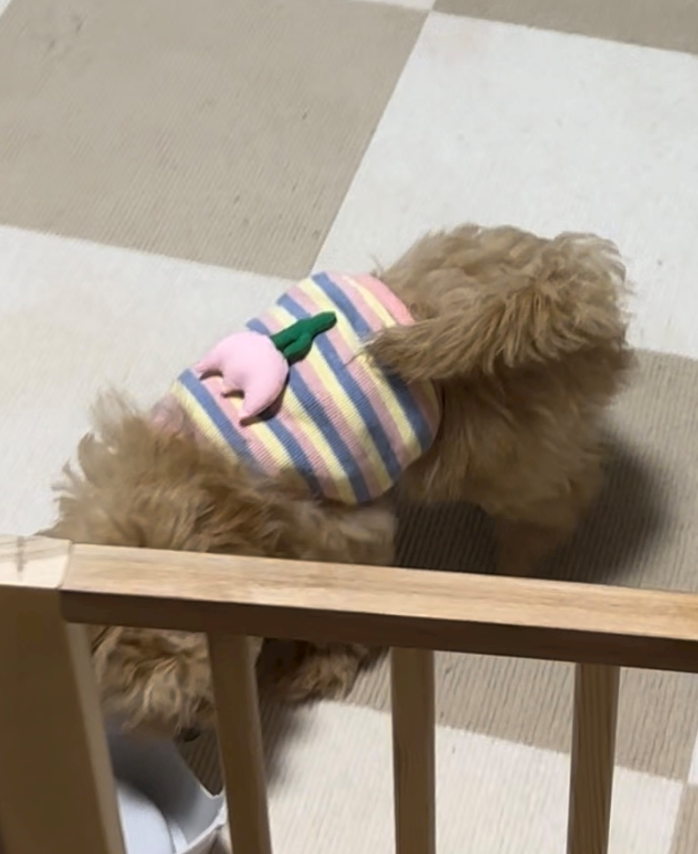 たむ