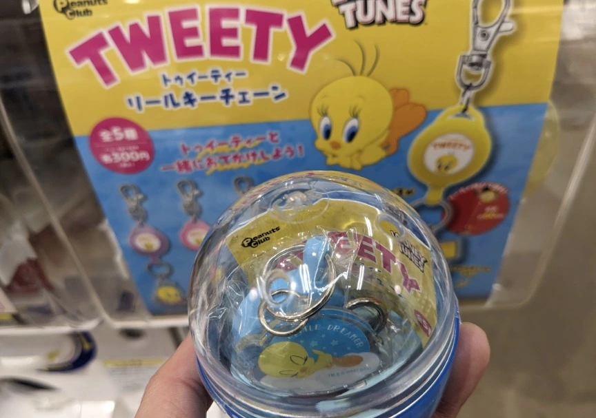 五条 椿