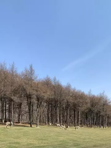 如月 凛