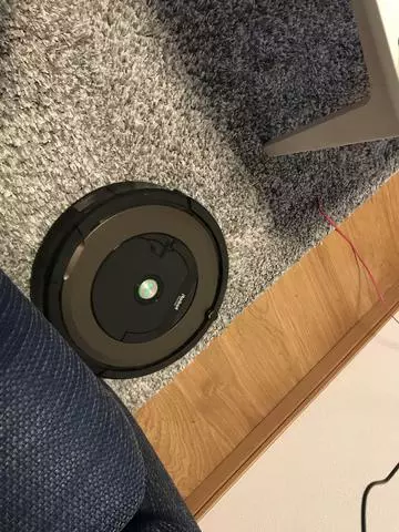 椿 はるな