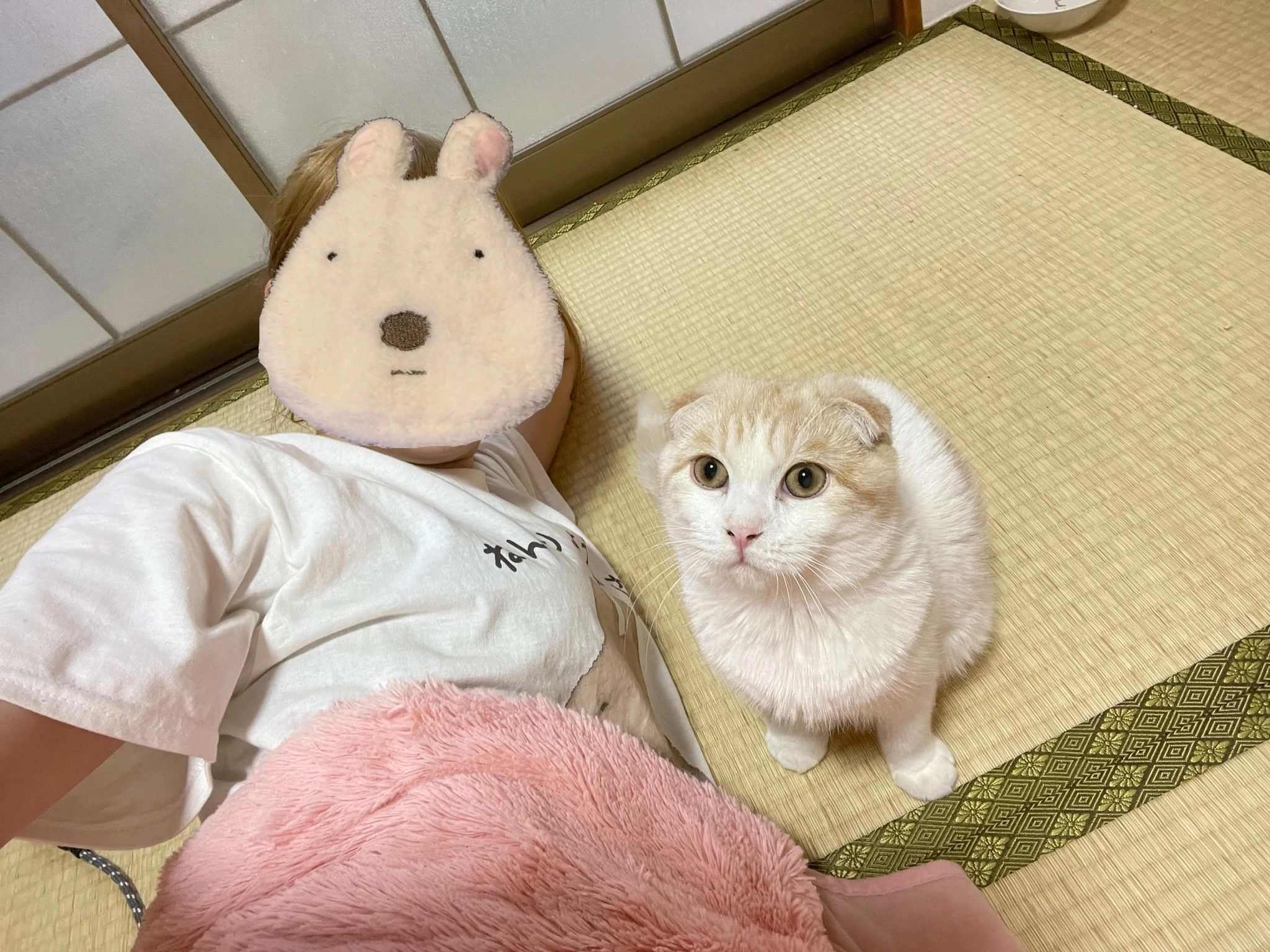 まゆ