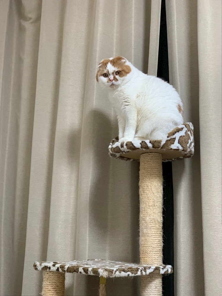 れみ