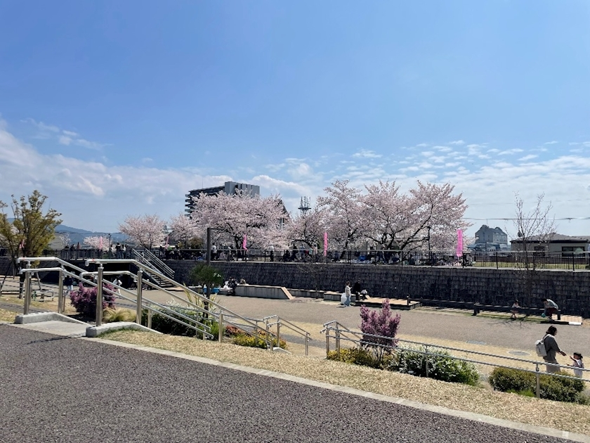 春野 じゅり