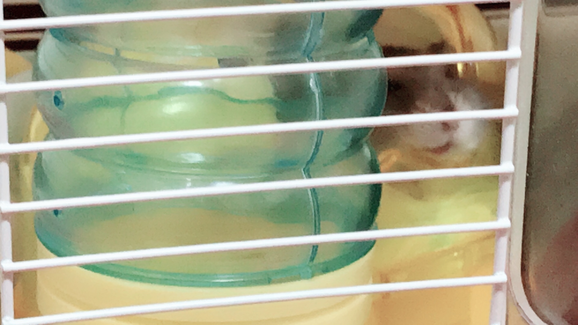 乃星