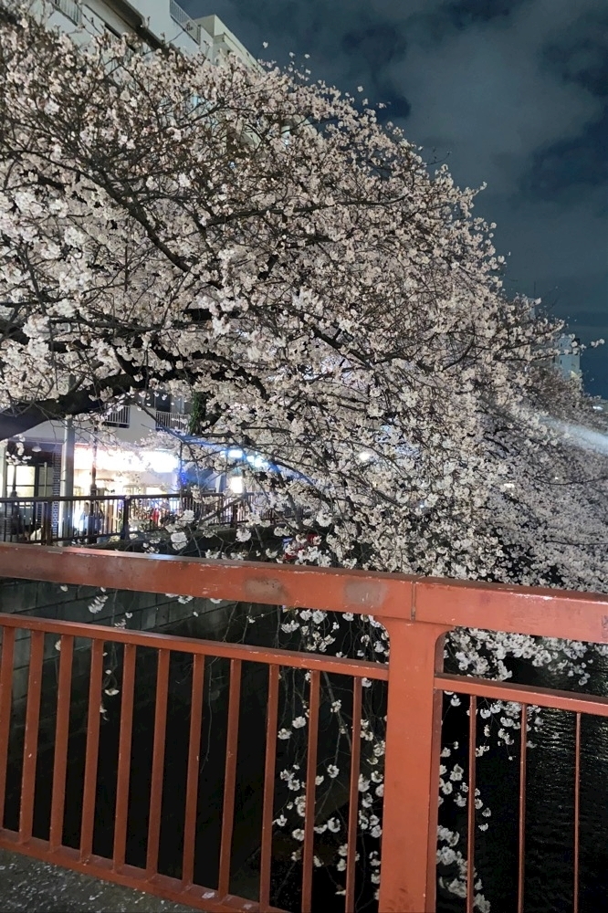 みのり