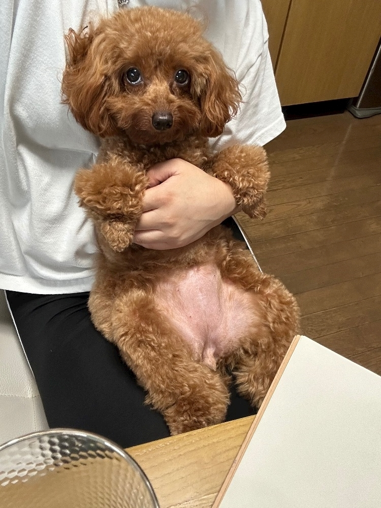 一ノ瀬 はづき