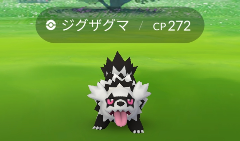 五条 椿