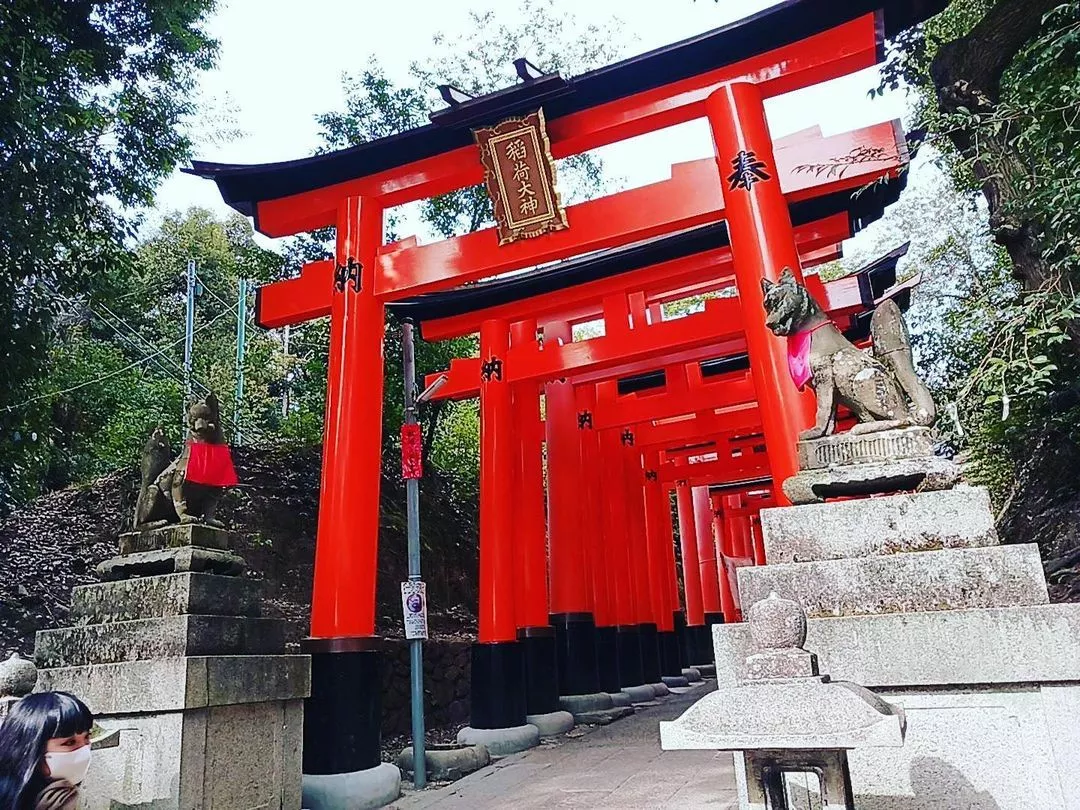 田中 美緒