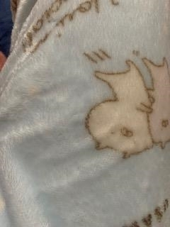 春風 ゆずな