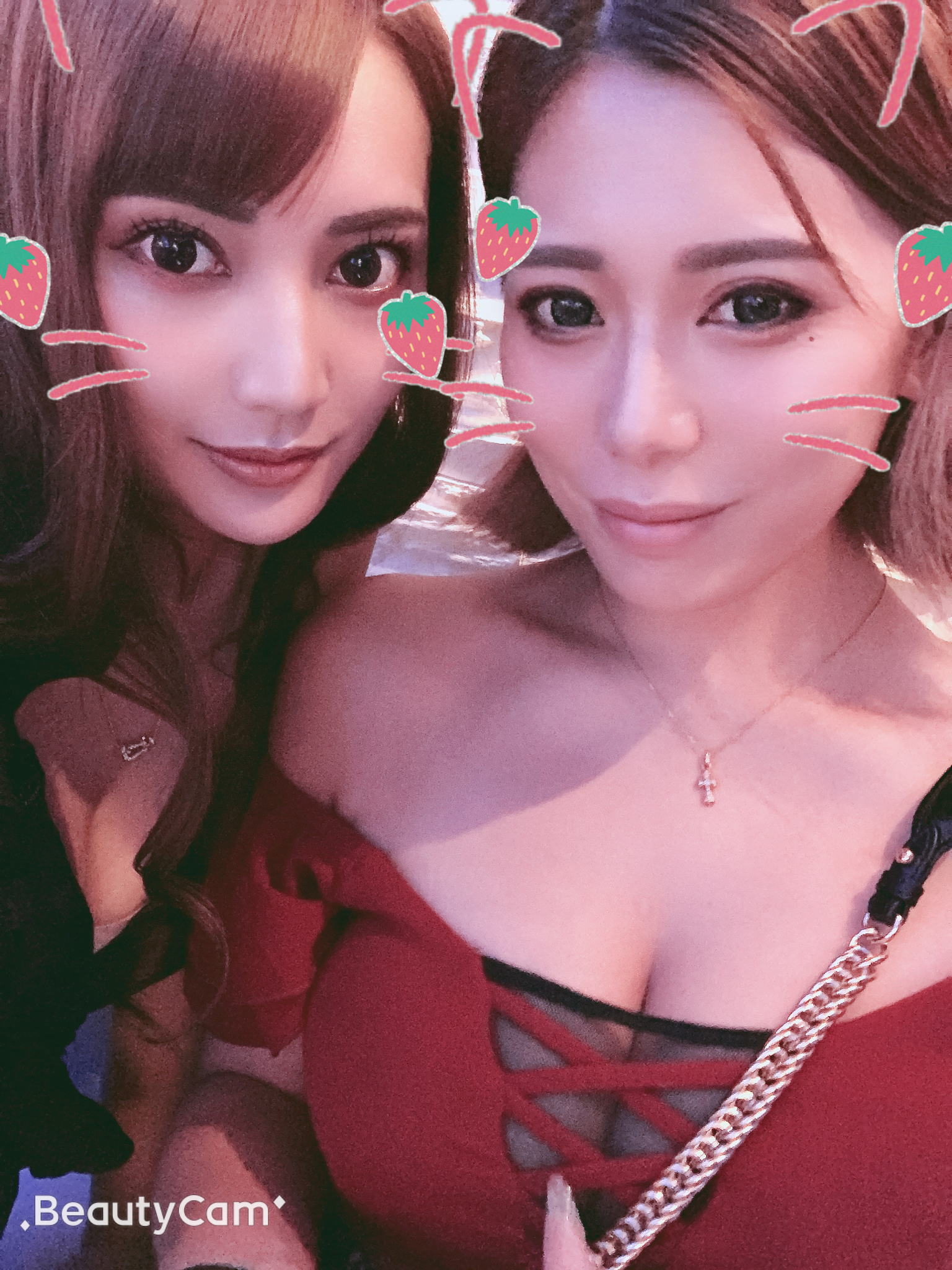ヤシの木 ここな