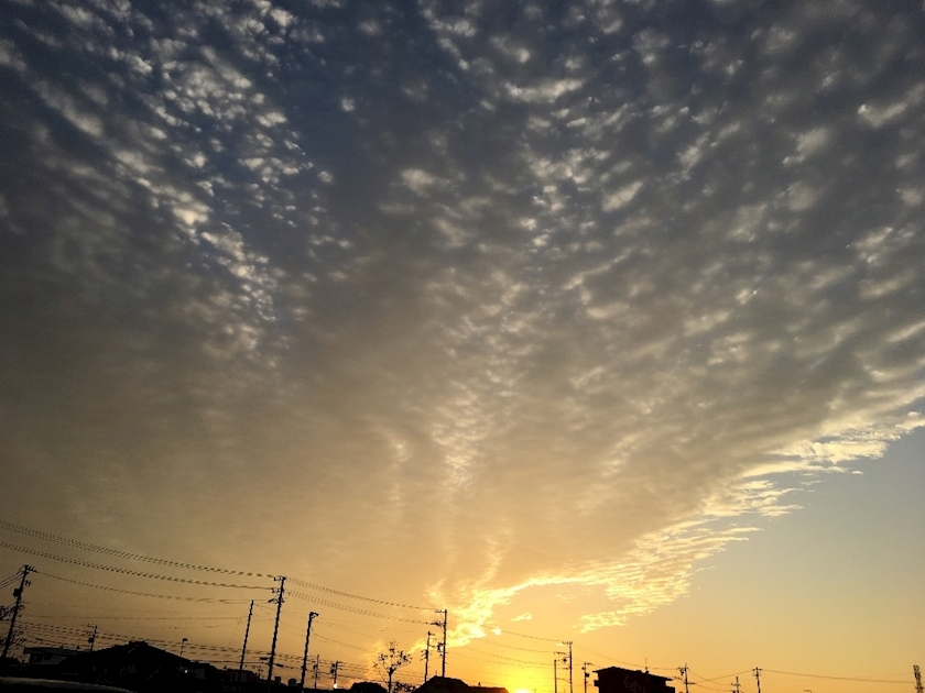 あり