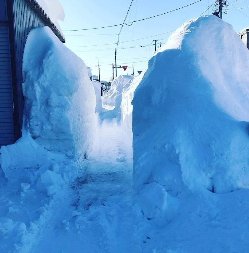 のはら かすみ