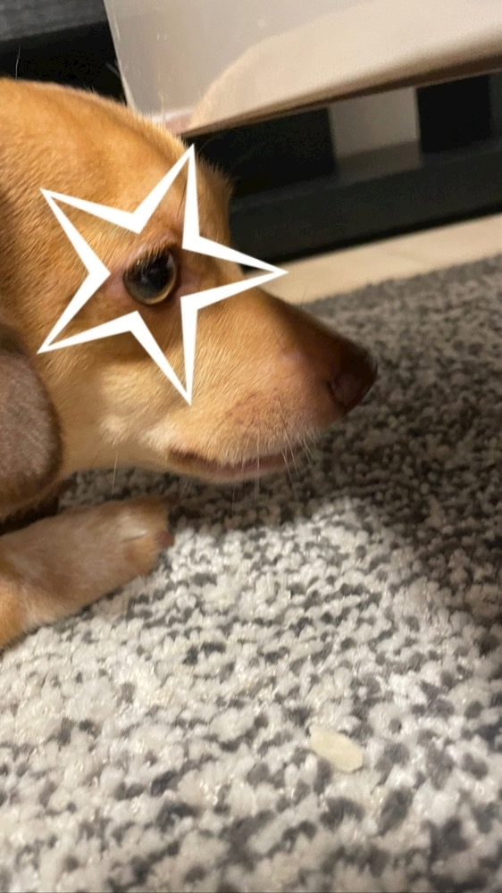 美月