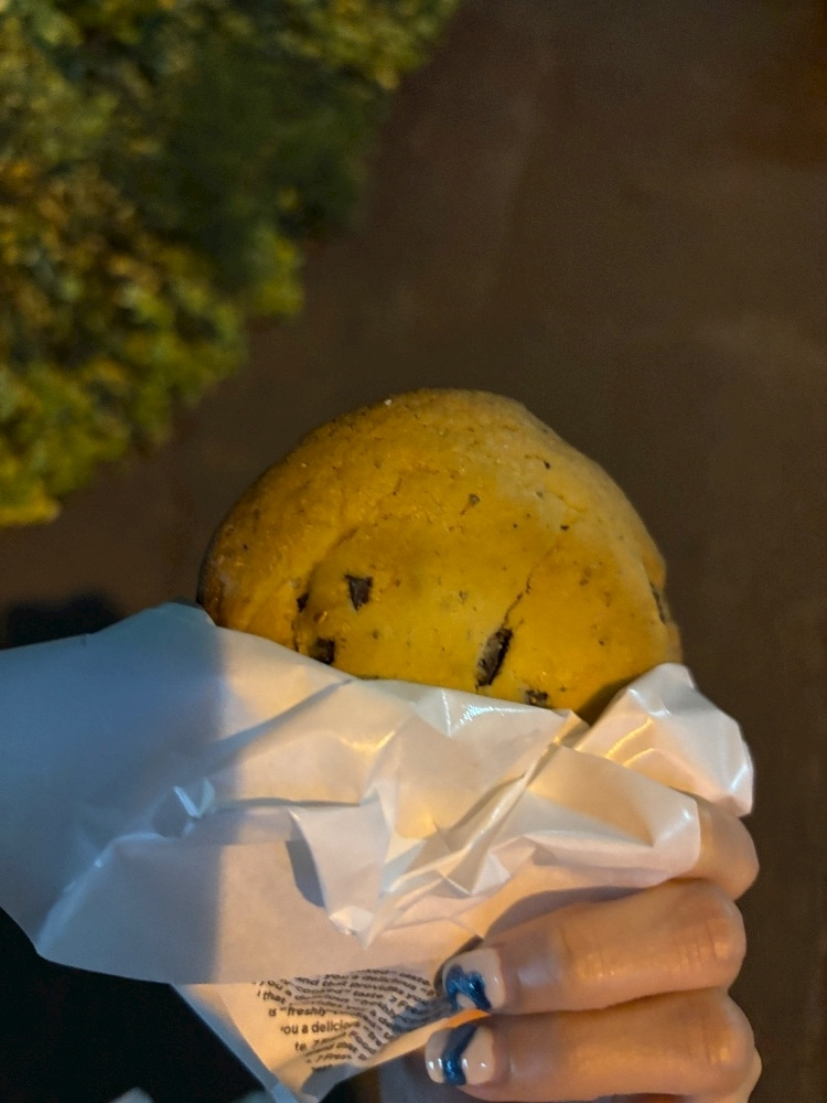 皐月 いおり