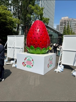 空条 しいな