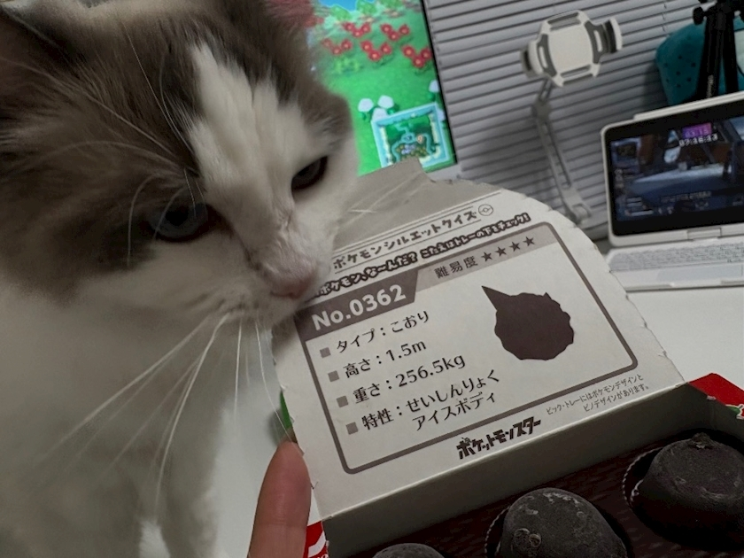 辻 みなみ
