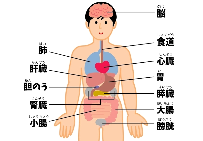 エミ (スタッフ)