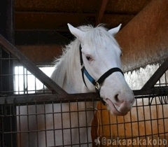 ゆう