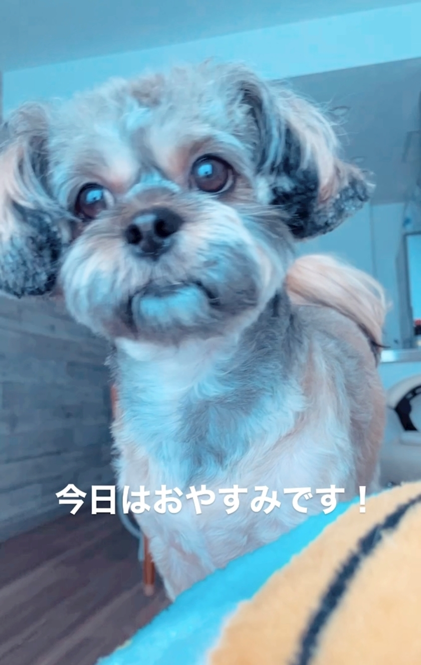水城 百合