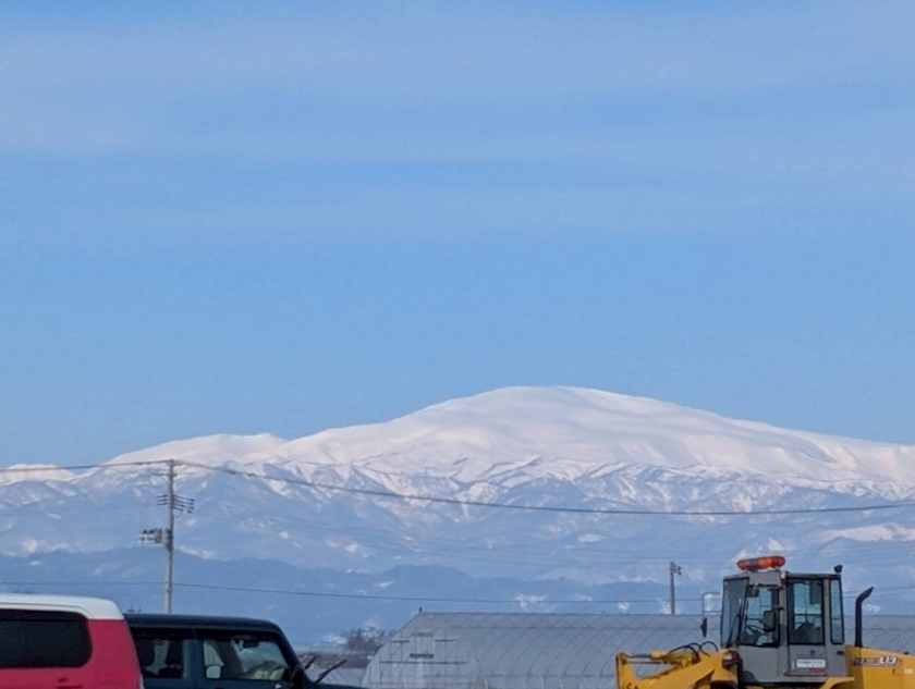 りん