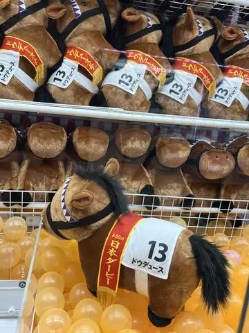 七星 夏純
