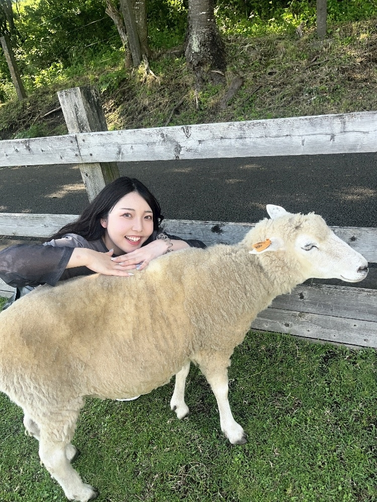 ひなた