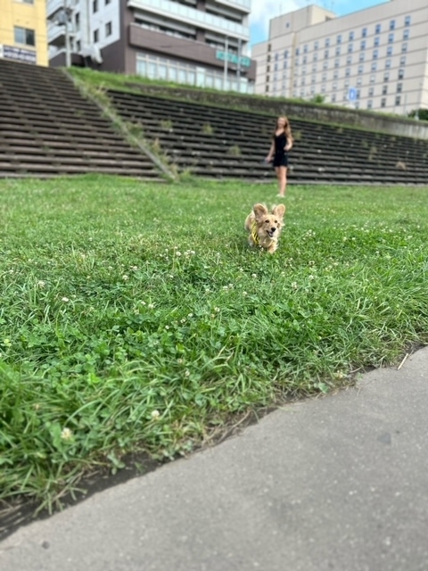 香月 亜弥