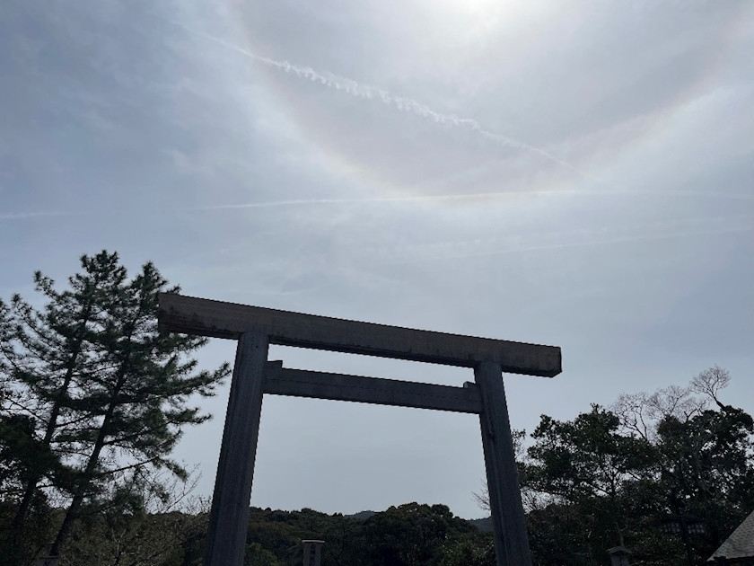 朝倉 しおり
