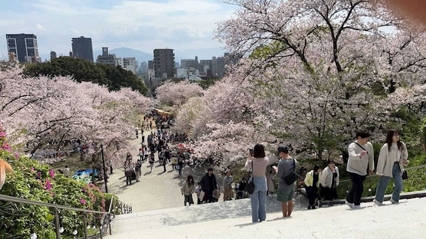 白咲 莉桜