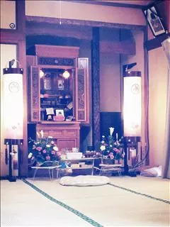 桃瀬 百華