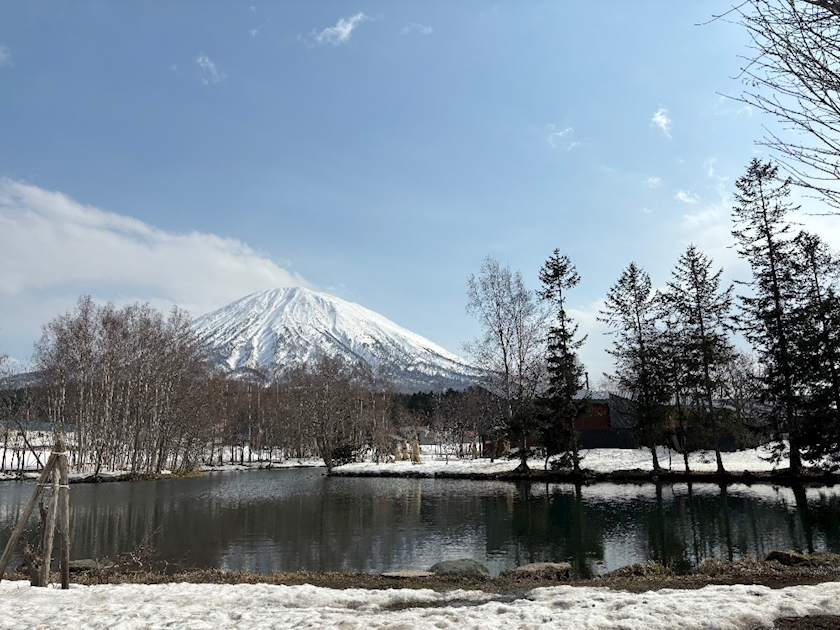 香川 ゆい