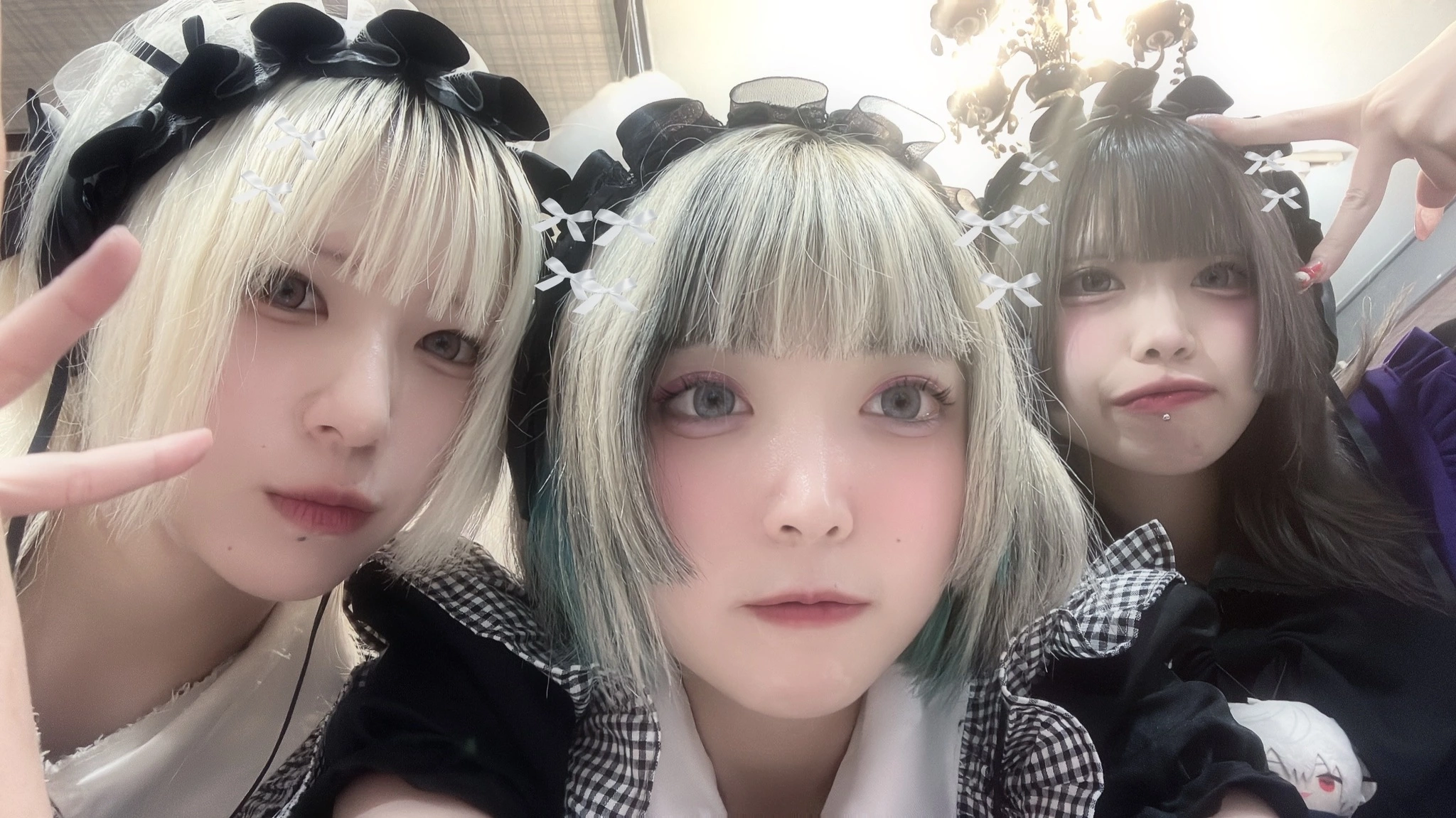 しゃむ