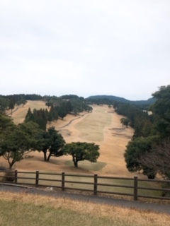 加藤 ゆか