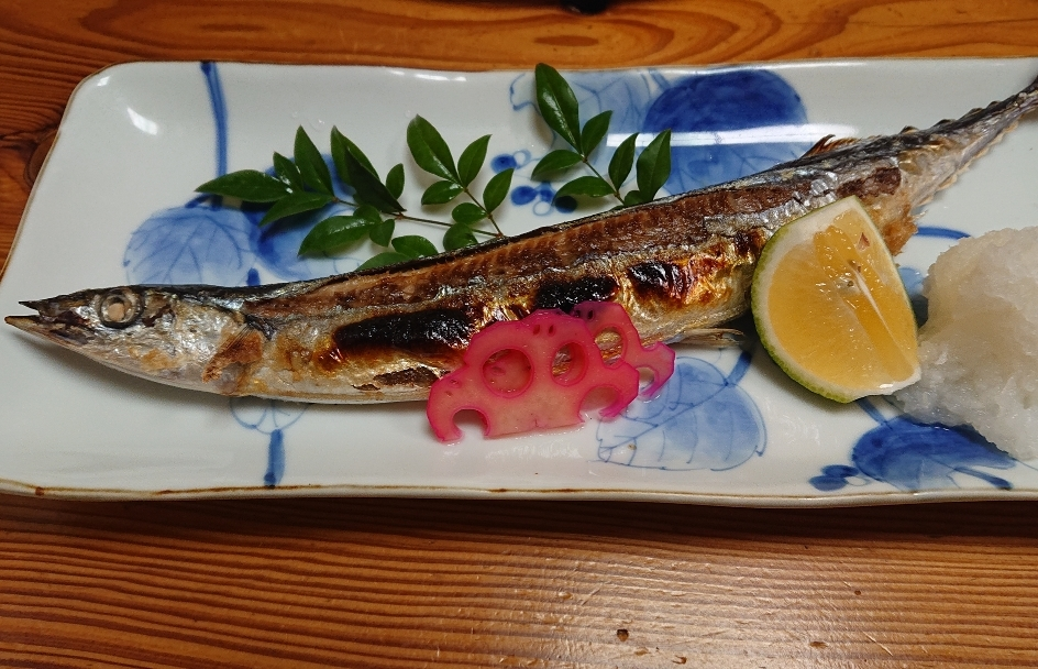 五条 椿