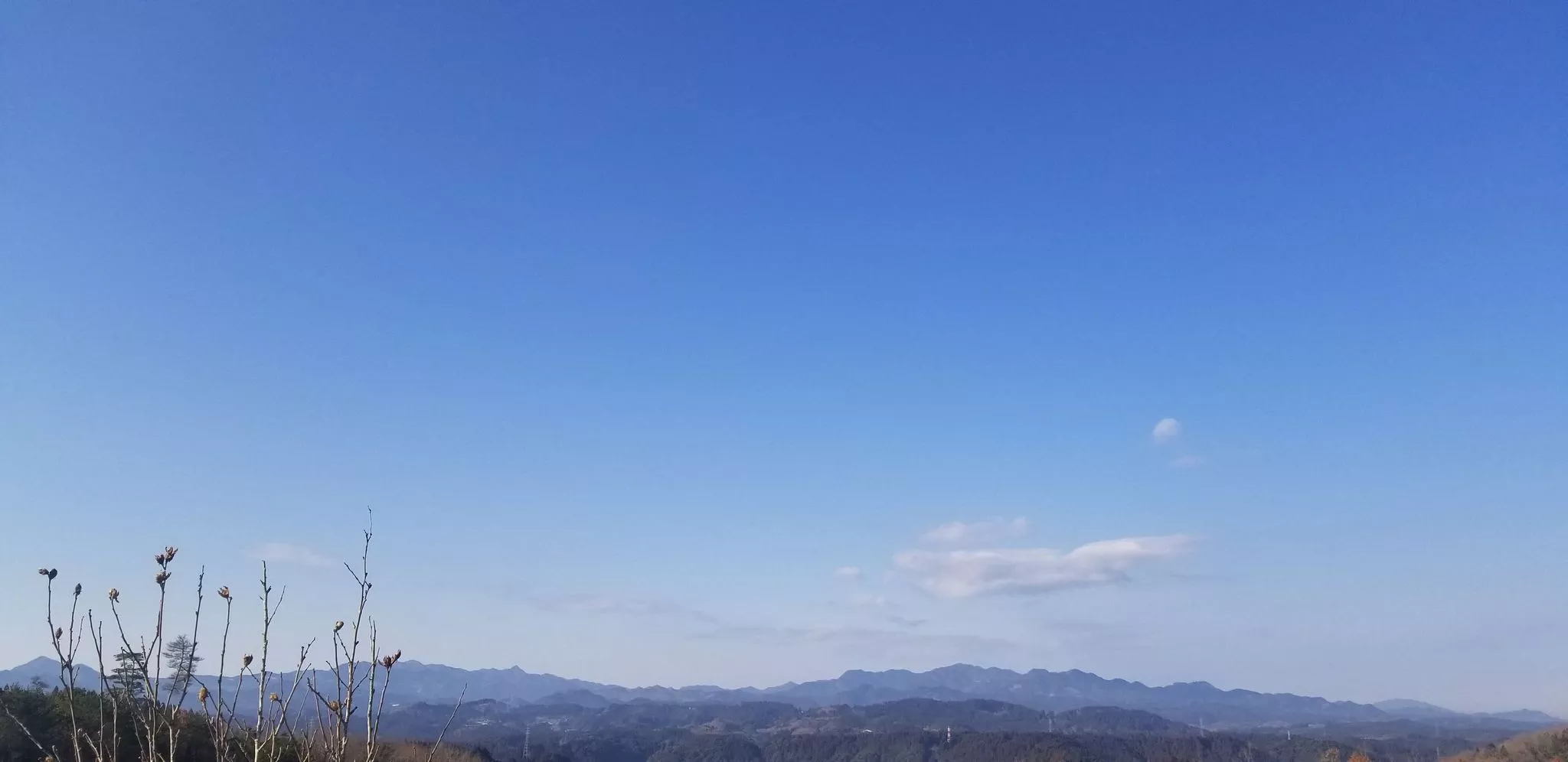 れん