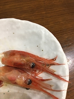 沙良 純