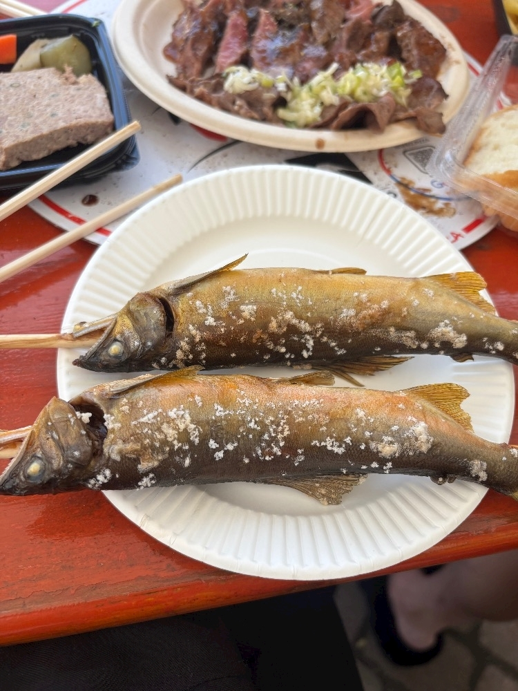 柊 まりん