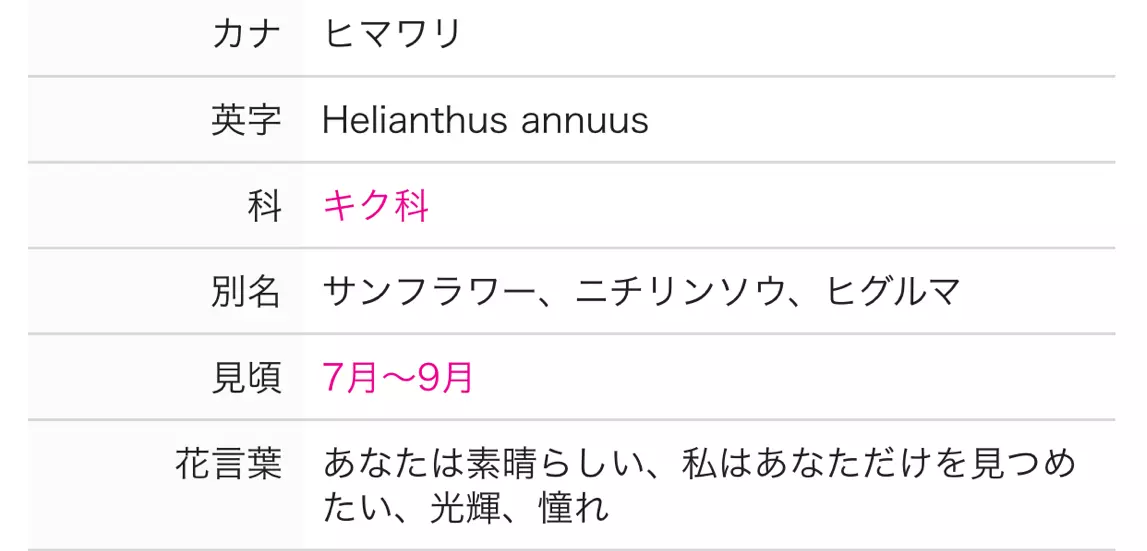 妃 えりか