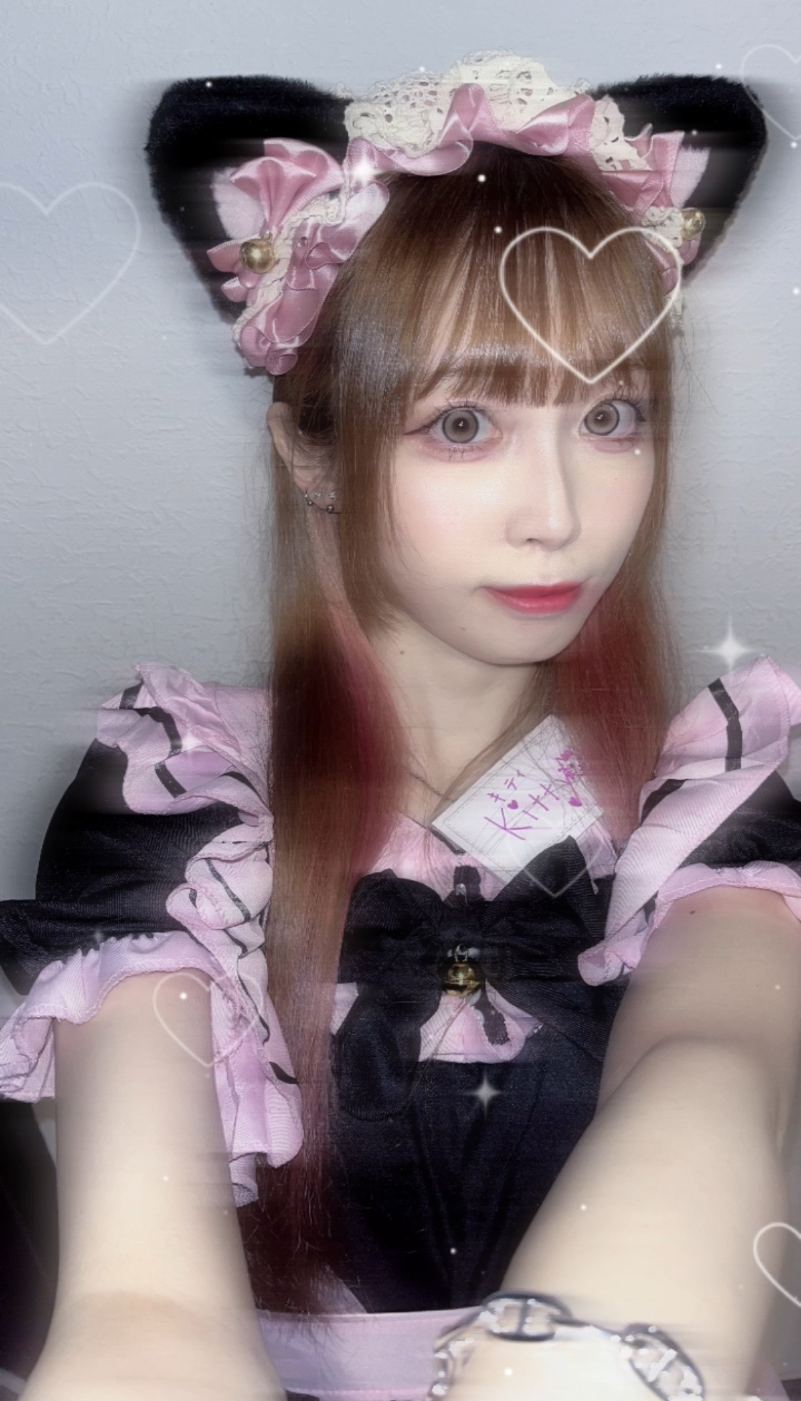 Kitty(ミ･｡･ミ)♡