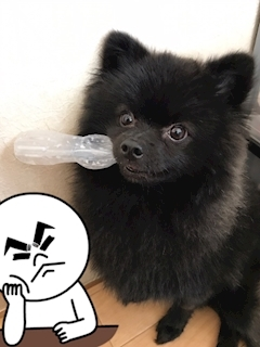 ティナ