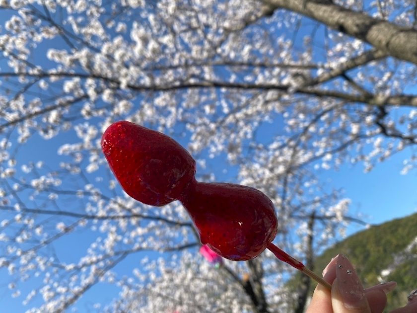 ハル