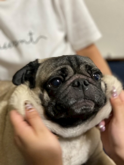 みき