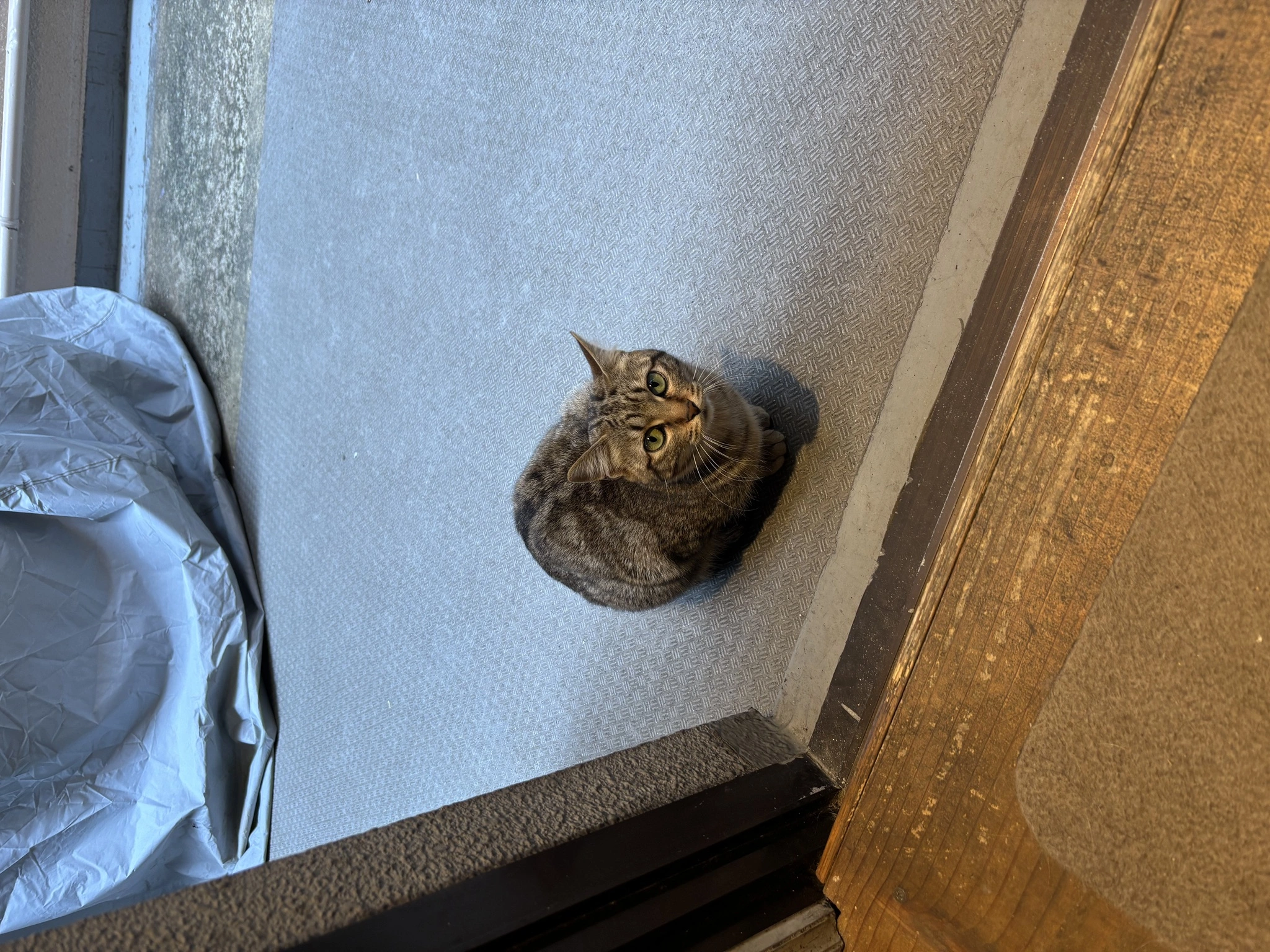 みあ